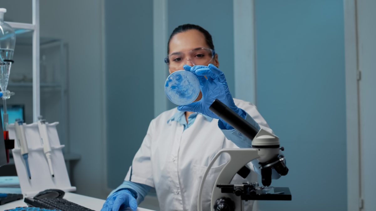 Becas Marie Curie 2023 y sus oportunidades de estudio